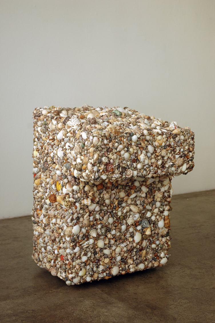 sea shells, wood, glue